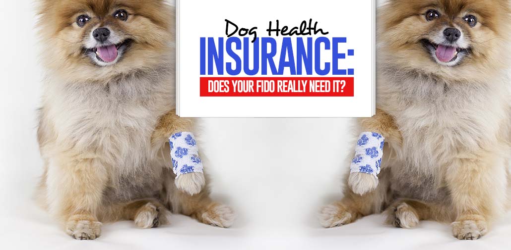 Dog Health Insurance Pet Care